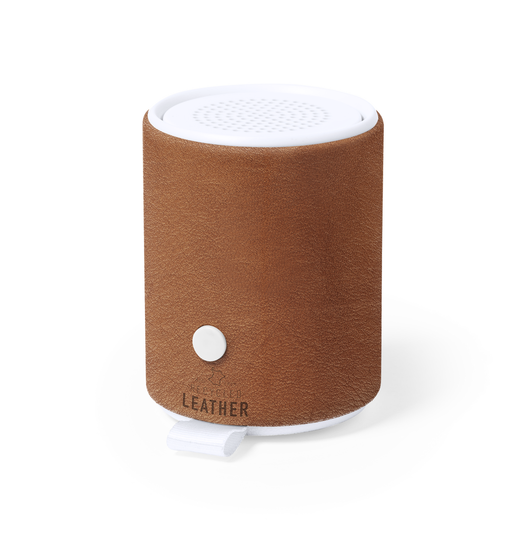 Altavoz Sotep RCS