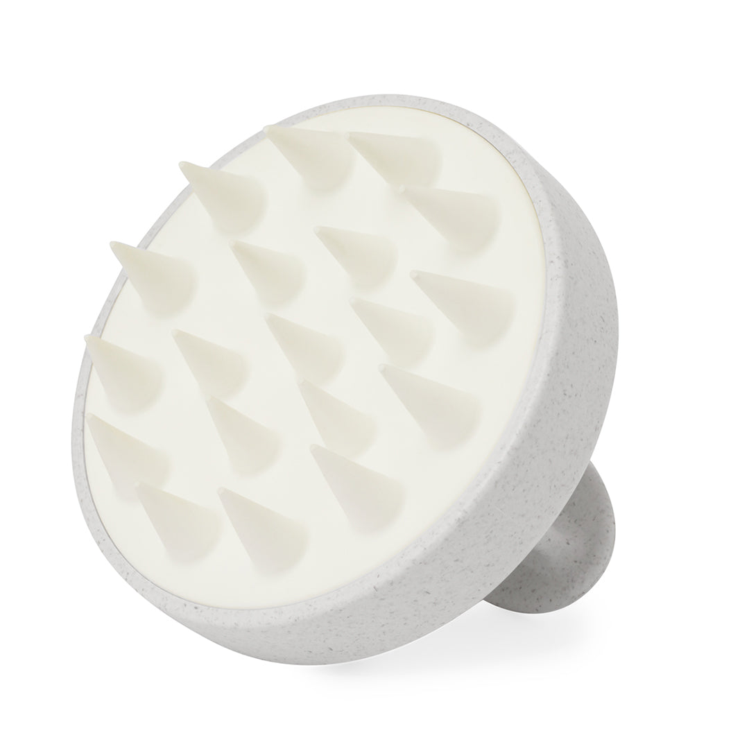Emulsionador Nocote