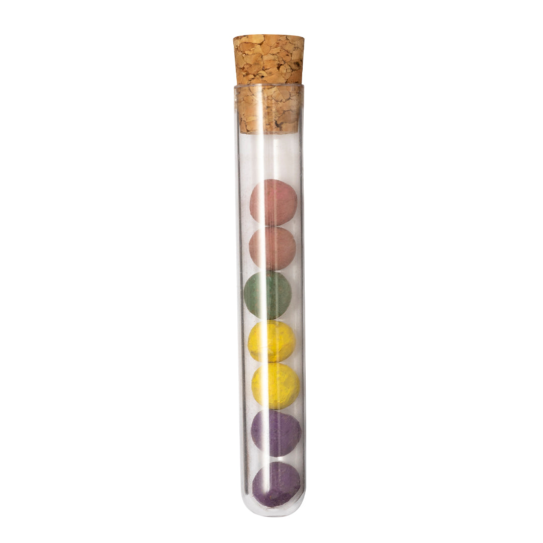 Set Bombónes Semillas Dinaclex