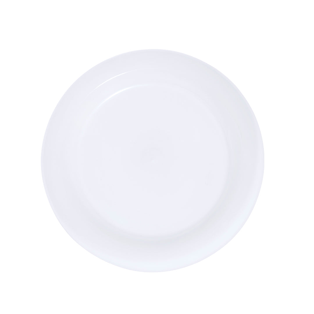 Plato Grisen