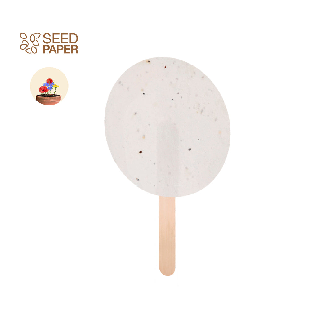 Pai Pai Plantable Luluar