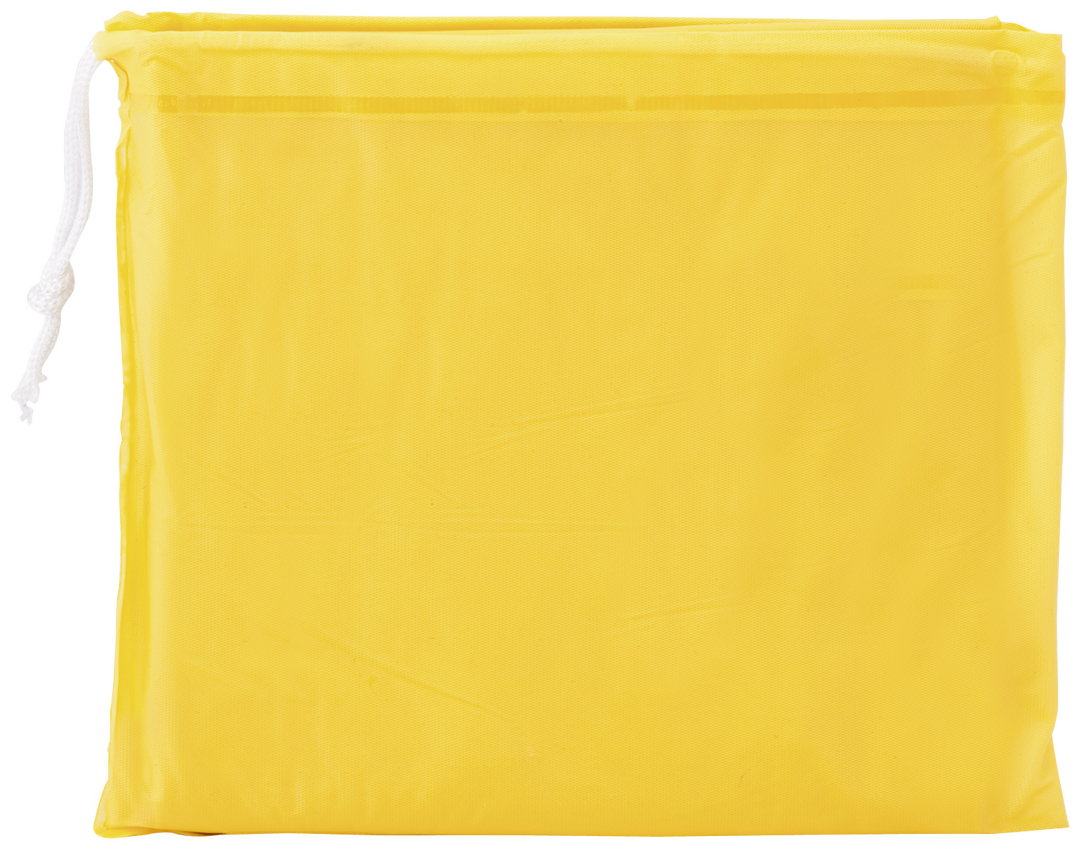 Poncho Teo