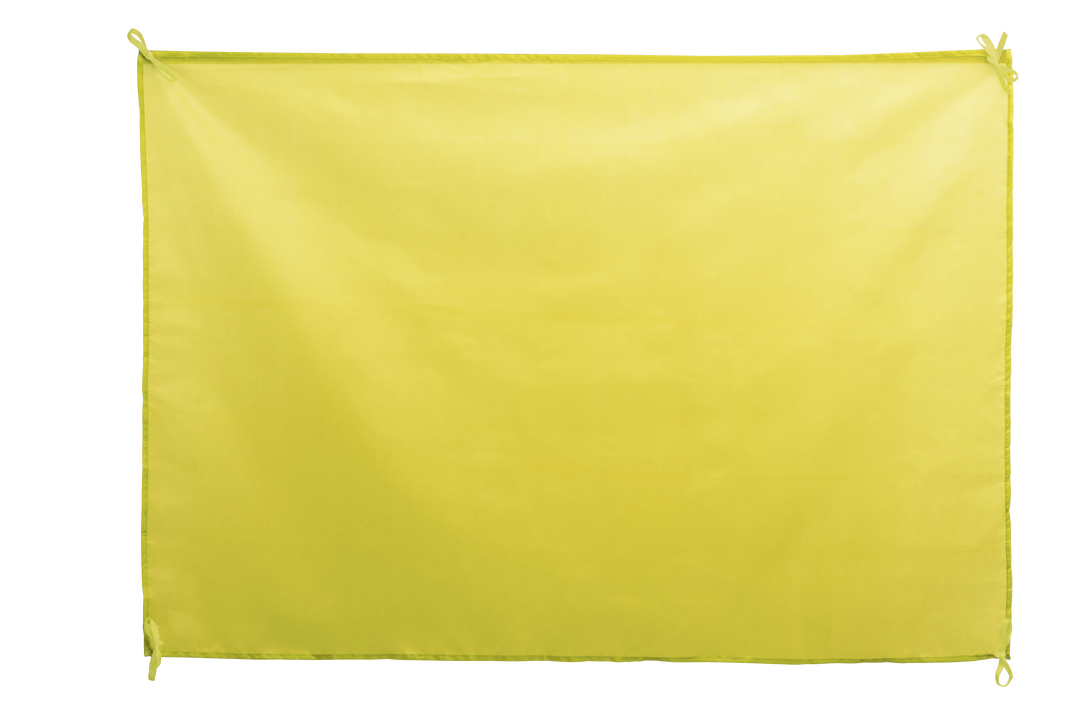 Bandera Dambor