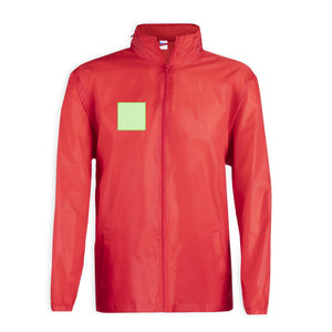 Zona de Impresión - Área 2