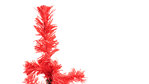 Christmas Tree Pines BLUE