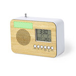 Radio Alarm Clock Tulax