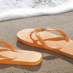 Chanclas Brasileira AZUL