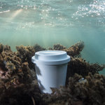Vaso Petel BLANCO