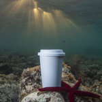 Vaso Petel BLANCO
