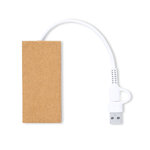 Puerto USB Hasgar SC