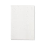 Bloc Notas Semillas Maiwen BLANCO