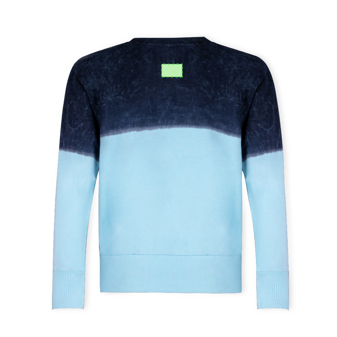 Adult Sweatshirt Truyi
