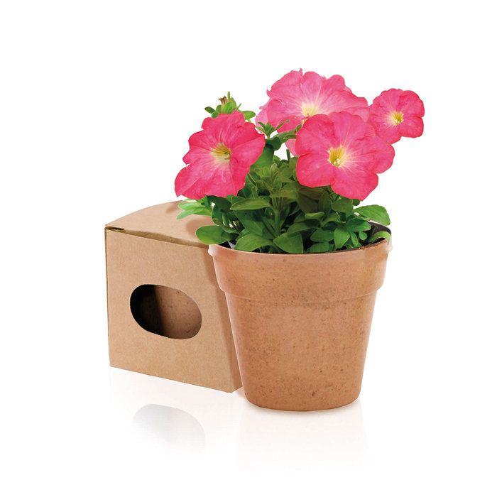 Flowerpot Advert NATURAL