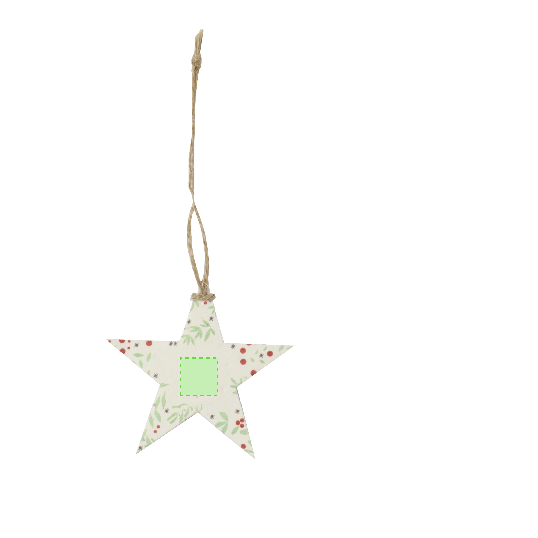 Seeds Christmas Decoration Boster