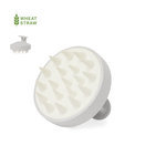 Emulsionador Nocote NATURAL