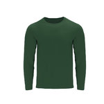 Adult Colour T-Shirt Hawk