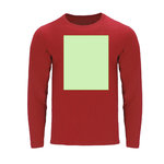 Adult Colour T-Shirt Hawk