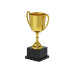 Trofeo Nynor DORADO