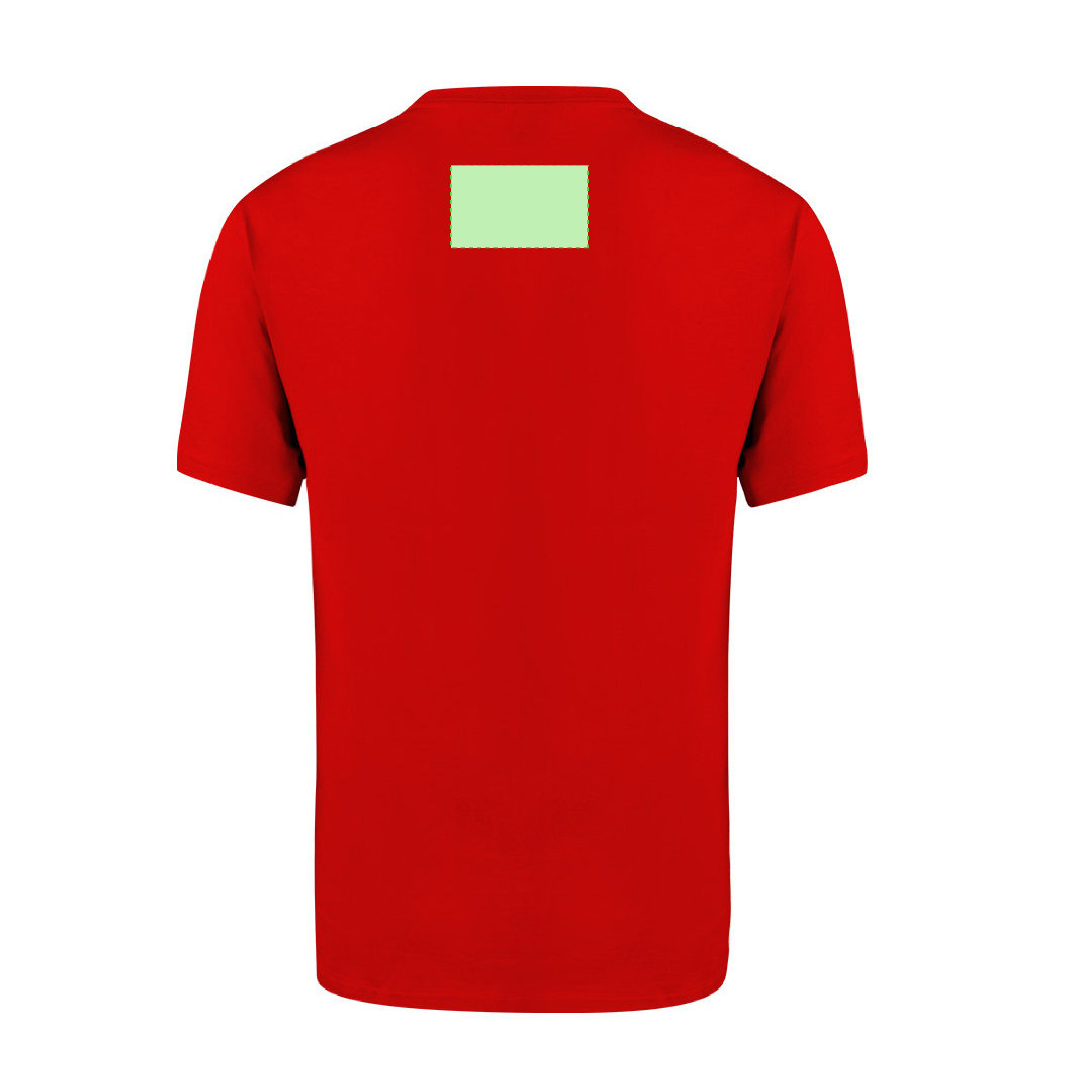 Adult Colour T-Shirt Perkins