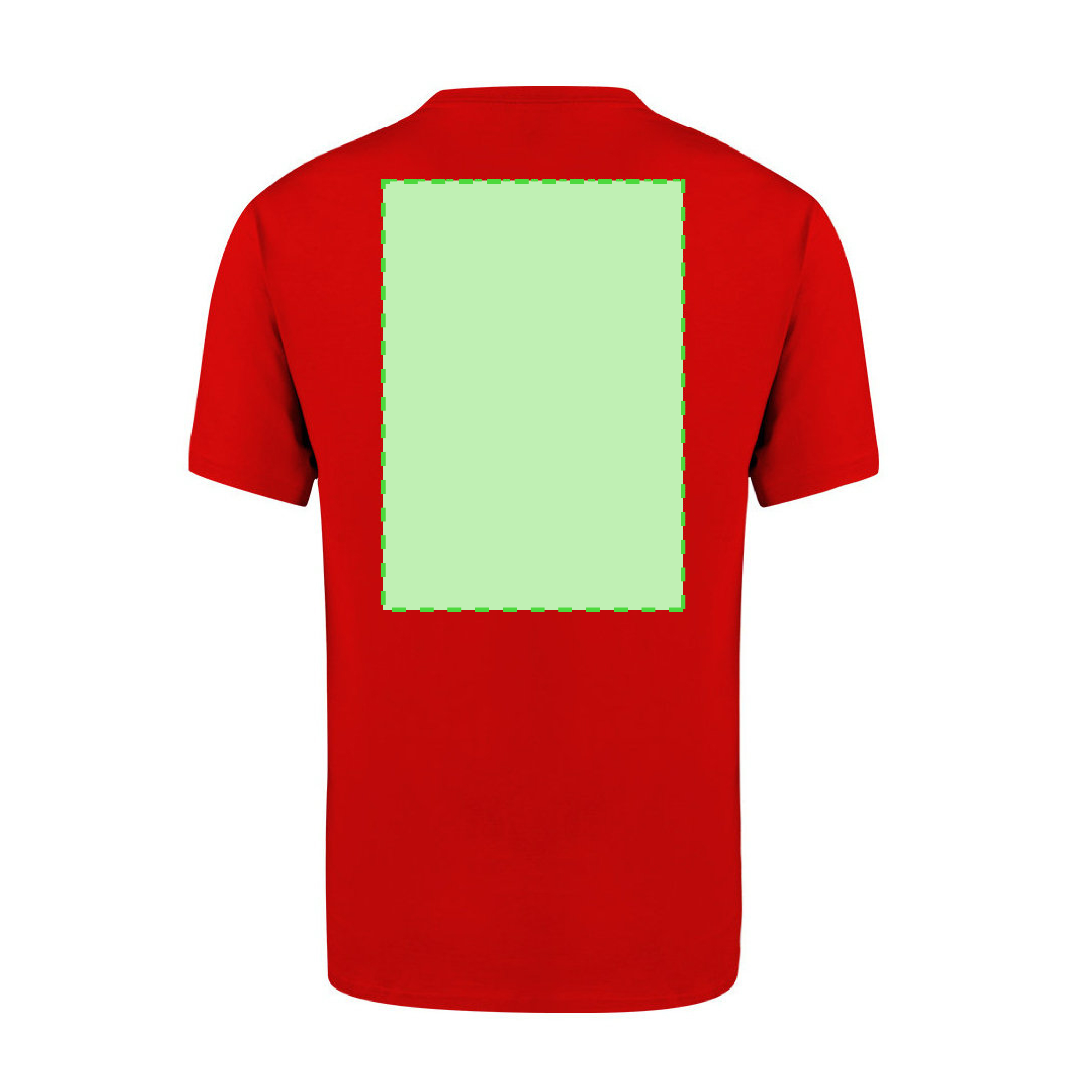 Adult Colour T-Shirt Perkins