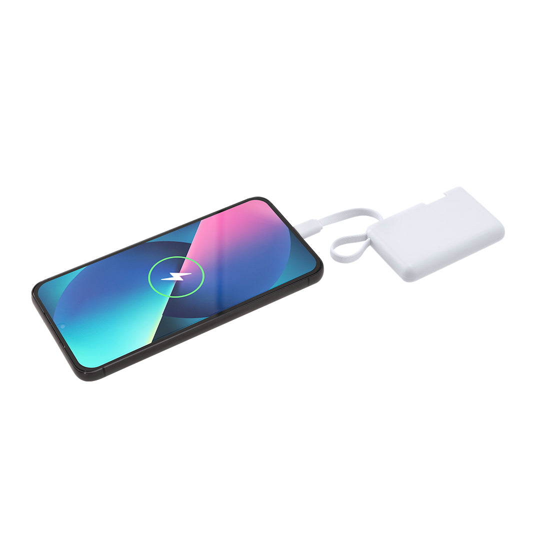 Power Bank Brandin