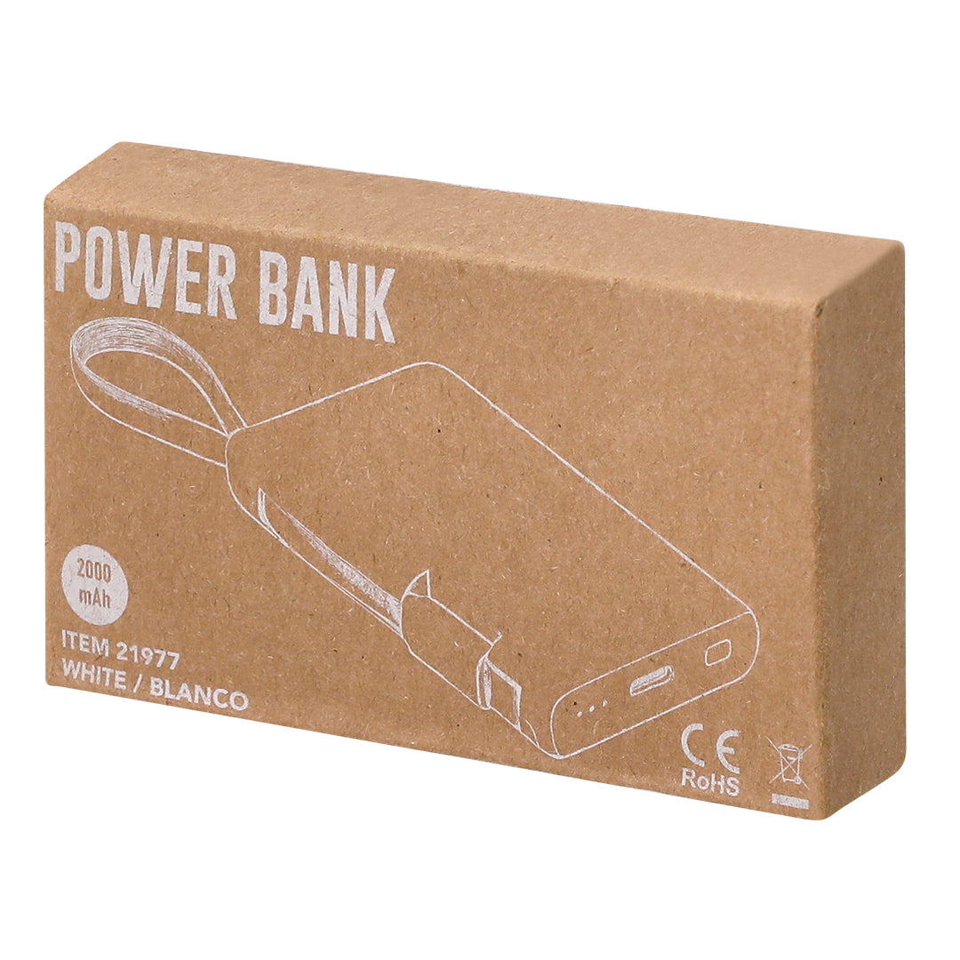 Power Bank Brandin