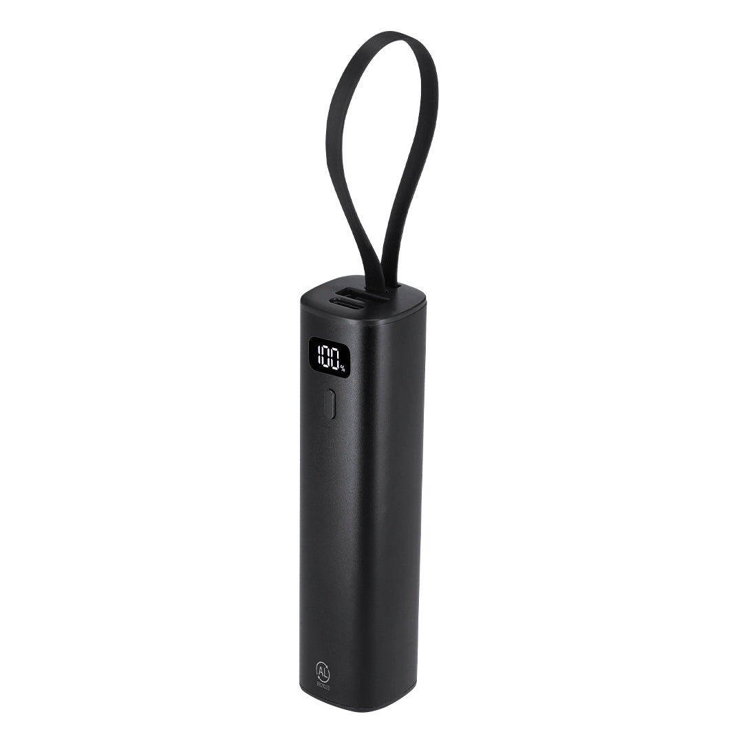 Power Bank Arel