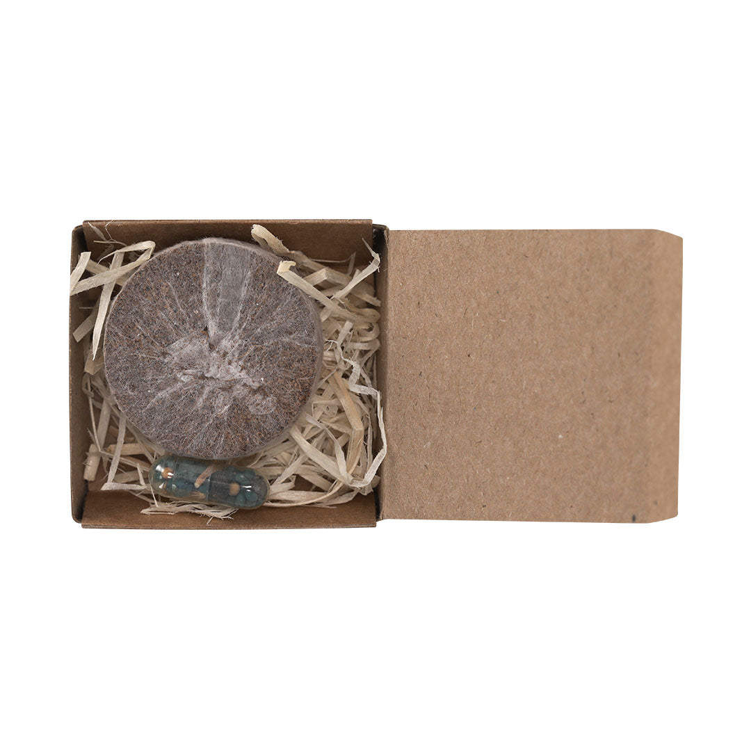 Pack Plantable Aquael