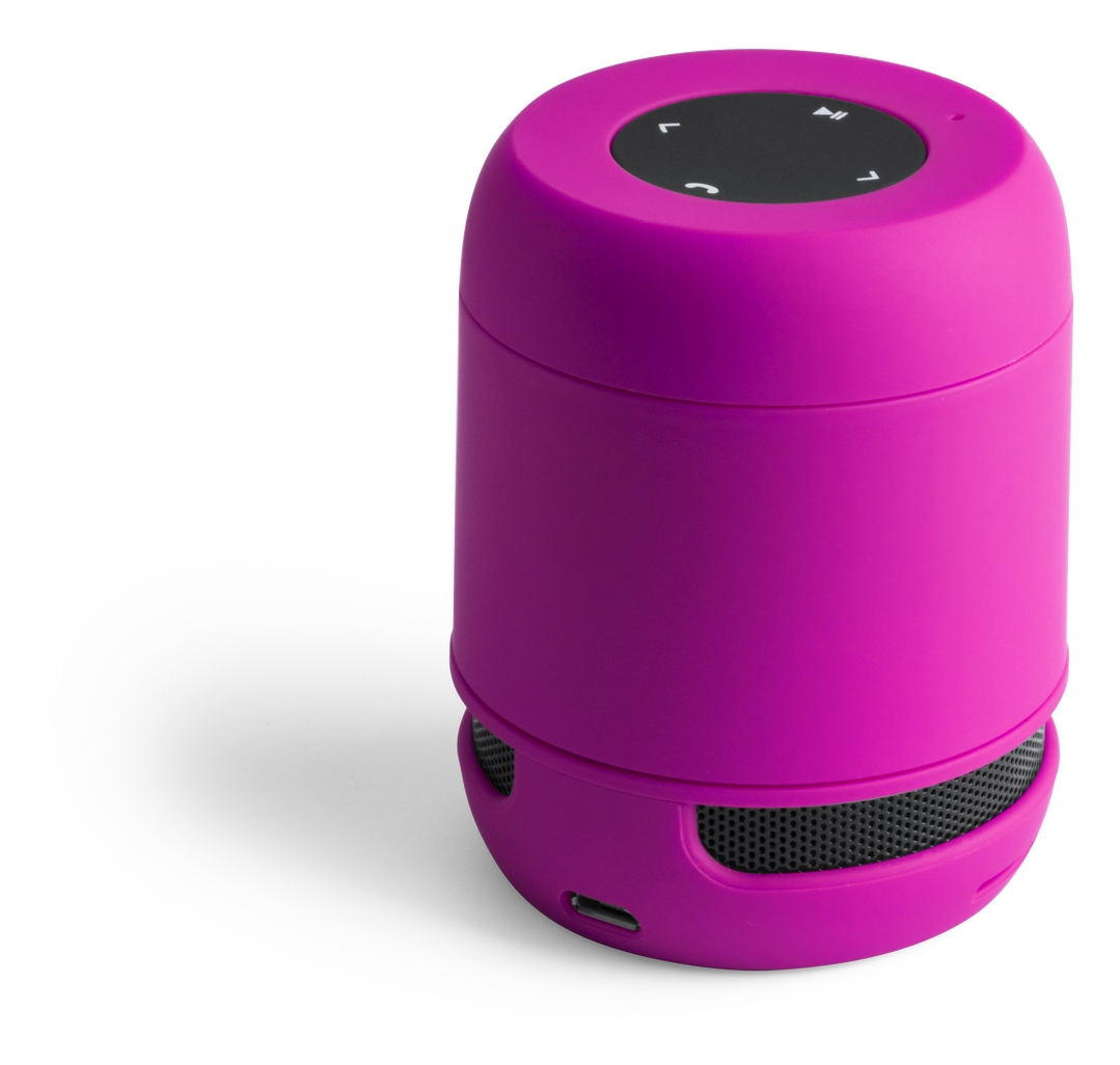 Altavoz Braiss