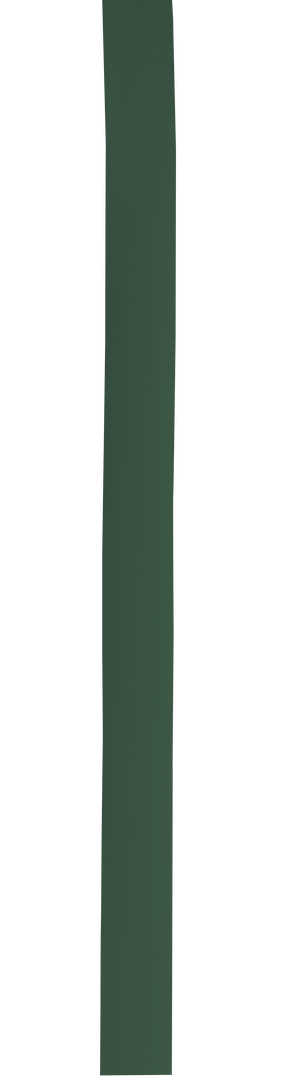 Cinta Sombrero Polyesterband