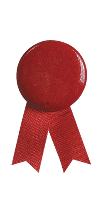 Pin Lazo Solidario